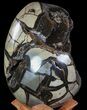 Huge, Septarian Dragon Egg Geode - Crystal Filled #63135-2